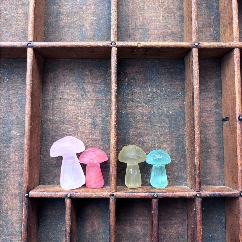 Cute Mushroom Set